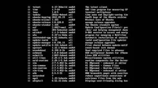 Installing & Removing Packages on Ubuntu Server | InstructorPaul.com
