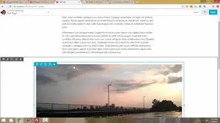 Using Beaver Builder to Create Medium-Like Layouts in WordPress