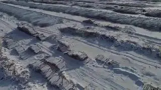 Пеньки вместо тайги как Китай превращает Сибирь в пустыню