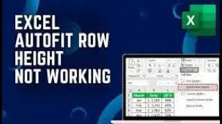 Excel Autofit Column & Row not Working 