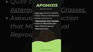 Apomixis