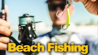 What Can We Catch From Pass-a-Grill Beach Florida
