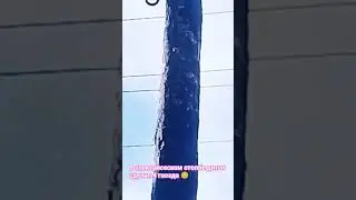 #shorts Дятел отец постарался 😄Такого еще не видели 😱