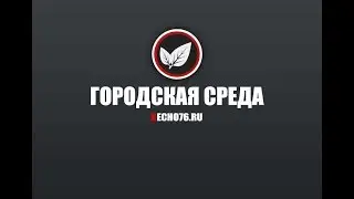 Первые результаты проверки ТЦ: что скажет МЧС