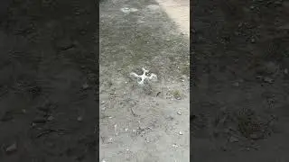 vision drone flight test 