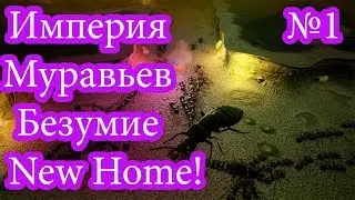 Empires of the Undergrowth:  New Home - INSANE - Максимальное безумие 1.1!