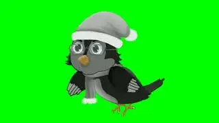 green screen crow cartoon character /green screen animation video / Brain Master