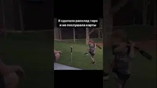 #таро