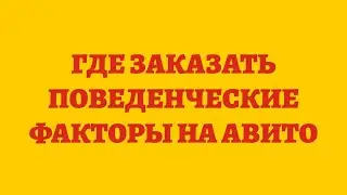 Где Заказать Поведенческие Факторы На Авито