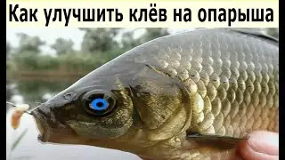 Наживка Пенопласт + Опарыш