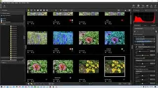 Nikon NX Studio - How to Copy, Paste, Save, and Load Adjustments in NX Studio