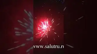 Купить «Свадебный салют» недорого в Самаре и Тольятти. Полное видео по ссылке на стрелке
