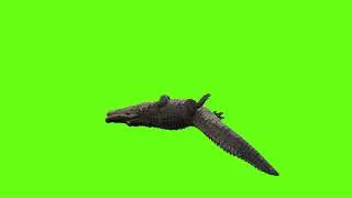 Green Screen Crocodile Animation