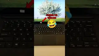 Find Out Your Computer's Stats!