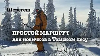 Шерегеш: мамкин фрирайд Томского леса от подсечки к Скайвею - простой маршрут для начинающих.