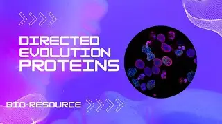 Directed Evolution of Proteins: Principles, Methodologies, and some remarkable applications.