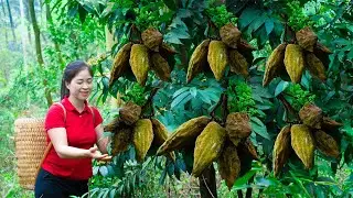 Harvesting Rose myrtle & Goes To Market Sell | Gardening And Cooking | Lý Tiểu Vân