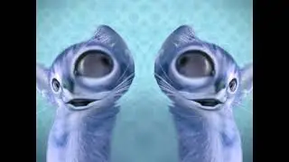 Preview 2 Numa Cat effects 3 In Blind Major Fixed