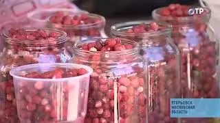 Малые города России на ОТР. Егорьевск - здесь учился летчик Валерий Чкалов (09.07.2013)