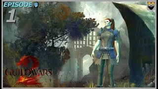 Let's Play Guild Wars 2 - Norn Guardian - Part 1 - Relaxing Immersive - Gameplay Walkthrough