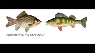 Приключения Карася #1 - Почему ваш сын Кариба не пришел в школу?