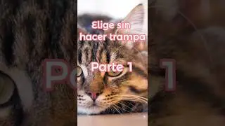Elige sin hacer trampa Parte 1