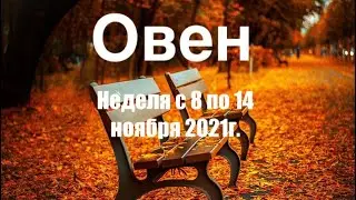 Овен. Таро-прогноз на неделю с 8 по 14 ноября 2021 года.