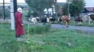 Chuvash village 1