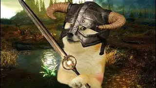 АКТУАЛЬНЫЙ СТРИМ ПО SKYRIM