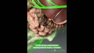 ЧАКРА МАНИПУРА. ВОССТАНОВЛЕНИЕ ЖЕЛУДКА И ПЕЧЕНИ. Оздоровительная 