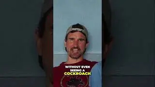 Cockroaches Everywhere! 🪳 🪳🤢 - Moto Travel Diaries