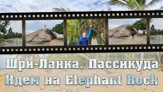 ШРИ-ЛАНКА – СТОИТ ЛИ СЮДА ЕХАТЬ НА ОТДЫХ? / Пляж Passikudah Beach / Elephant Rock