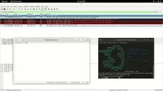 Send a simple TCP packet with a message using Scapy