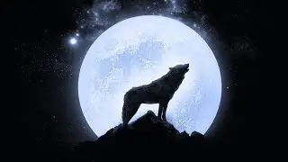 Wolf Howling Sounds