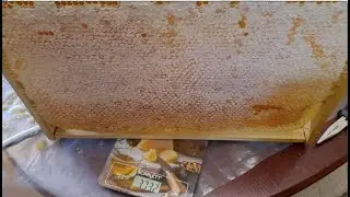 Сколько мёда умещается в одной рамке?