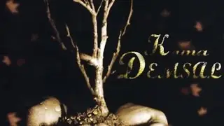 Koma Demsal - Pusu