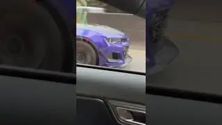 Shelby GT500 vs Camaro ZL1 1LE Part 2! 🏎️