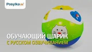 08111355   обучающий шарик с русском озвучиванием на батарейках 2
