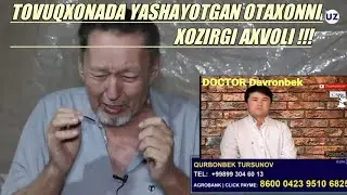 #ELPARVAR #MEXR #ULASHING TOVUQXONADA YASHAYOTGAN OTAXONNI XOZIRGI AXVOLI.