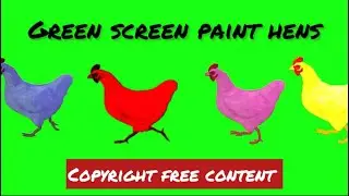 Green screen paint hens | paint animal 