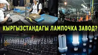 ЛАМПОЧКА кантип ЖАСАЛАТ || Майлы-СУУ ЛАМПА заводу