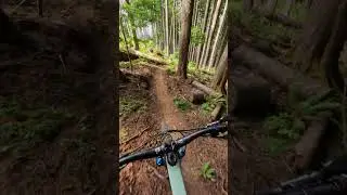 Dropping into the Jurassic World 🦕