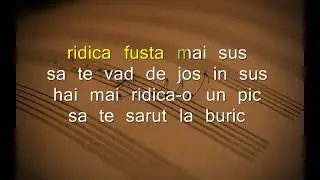 Ridica fusta mai sus KARAOKE
