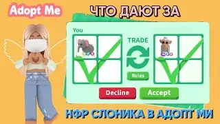ЧТО ДАЮТ ЗА НФР СЛОНИКА В АДОПТ МИ? ТРЕЙДЫ НА НФР СЛОНИКА В АДОПТ МИ