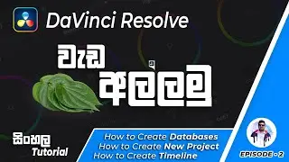 How to Create New Project and Timeline in Davinci Resolve Sinhala ( සිංහල Tutorial )