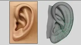 How to Model an Ear - Low Poly to Intermediate 3D Modeling Tutorial - Box Modeling