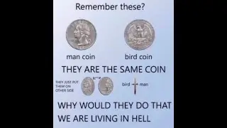 Remember these?
