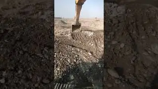3 декабря 2023 г.