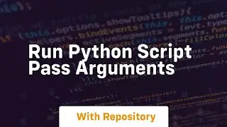 run python script pass arguments