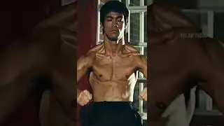 Bruce Lee Vibes 